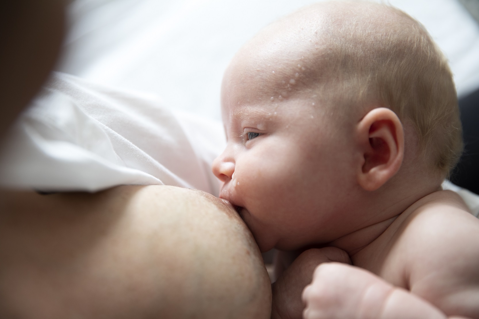 Ett barn som är en månad ligger vid sin mammas bröst. Mamman har uppknäppt skjorta så att de sitter hud mot hud. Barnet har tagit ett litet tag om bröstvårtan med munnen, ungefär som man suger på ett sugrör.