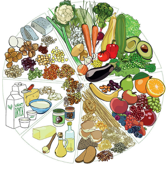 Man ser en vegetarisk kostcirkel som består av olika grönsaker frukter mjölk ost med mera.kter samt