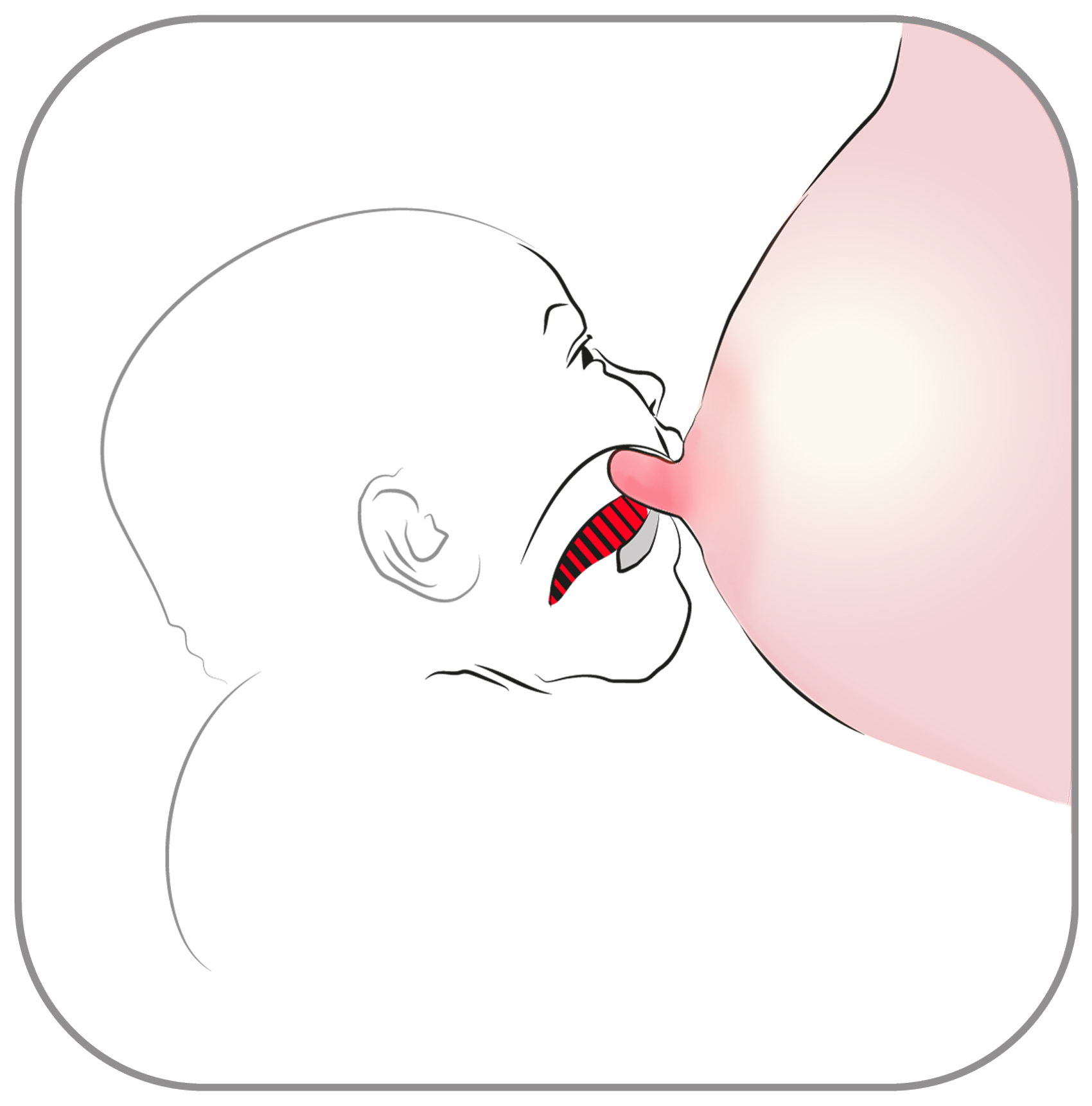 Barnets mun i genomskärning så man ser barnets tunga som pressar mot mammans bröstvårta.