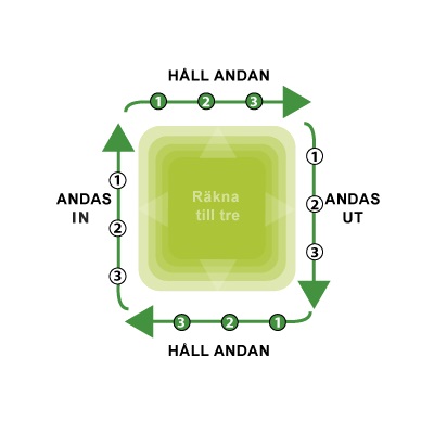 Schema över hur man andas i fyra steg genom att andas in och ut