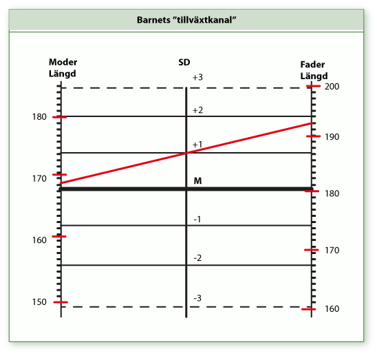 Nomogram för medelföräldralängd